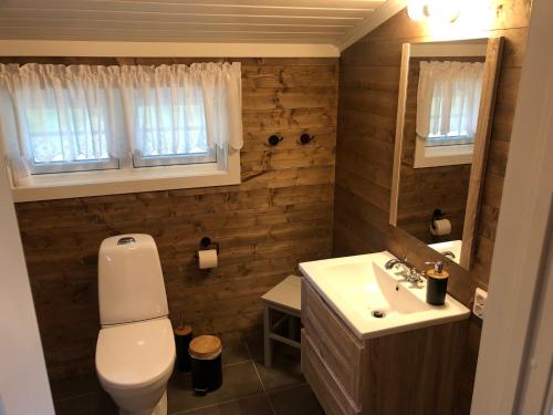 a bathroom with a toilet and a sink at Solvang World Heritage Camping in Eidsdal