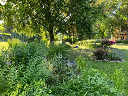 a garden with flowers and a tree in a yard at Haflingerstall in Neudiehman