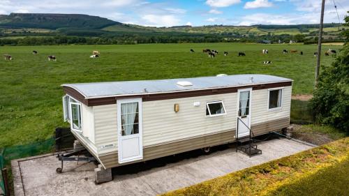 a caravan parked in a field with cows at DEVIL'S BIT accommodation in Killea