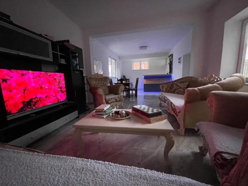 TV tai viihdekeskus majoituspaikassa GOT Prishtina Hostel