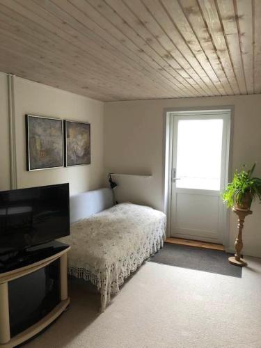 um quarto com uma cama, uma televisão e uma janela em Maren's apartment on Randbøl Heath em Randbøl