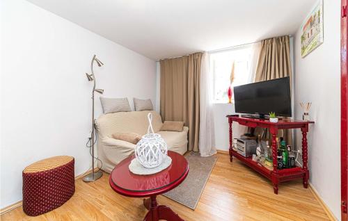 Μια τηλεόραση ή/και κέντρο ψυχαγωγίας στο Pet Friendly Home In Blizna Donja