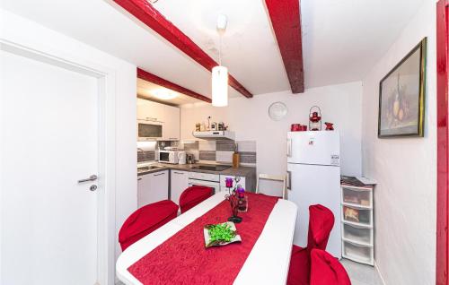 Η κουζίνα ή μικρή κουζίνα στο Pet Friendly Home In Blizna Donja