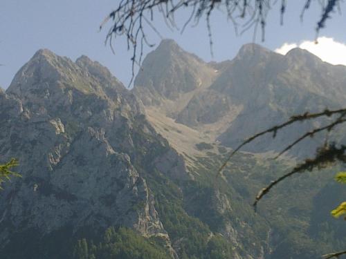 Gallery image of Apartments and Rooms Martuljk in Kranjska Gora