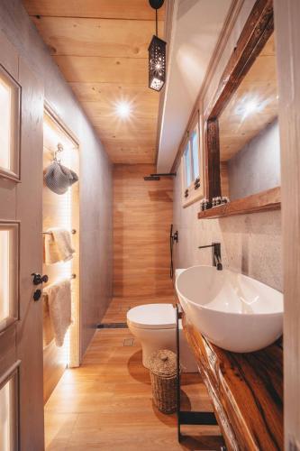 a bathroom with a sink and a toilet at Krassopsychia Apartments in Krásion