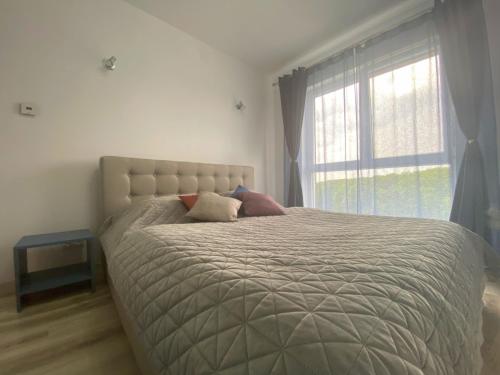 a bedroom with a large bed with a window at ForestHouse 1 in Timişoara