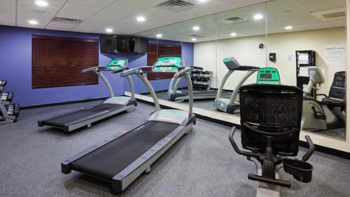a gym with several treadmills and machines in it at Holiday Inn Express and Suites Rochester West-Medical Center by IHG in Rochester