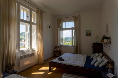 a bedroom with a bed and two windows at Vila Heide in Česká Kamenice