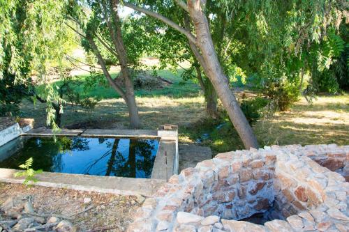 a pool of water in a yard with trees at Hotel Rural Monte da Provença in Elvas