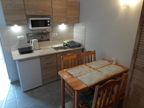 Кухня или мини-кухня в Apartamenty Obok Ruin
