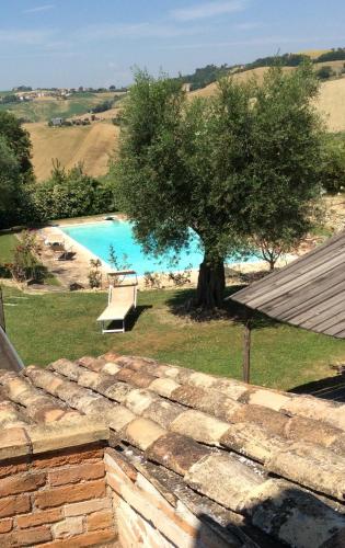 a tree and a bench next to a swimming pool at La Villa degli Ulivi in Fermo
