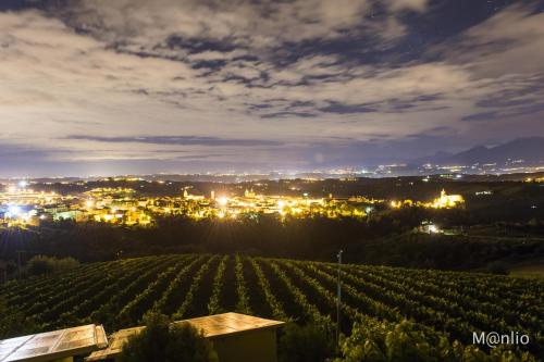 a view of a vineyard at night at Agriturismo Casa Rosa in Offida