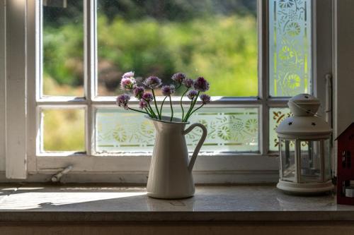 a vase with purple flowers sitting on a window sill at Vila Heide in Česká Kamenice