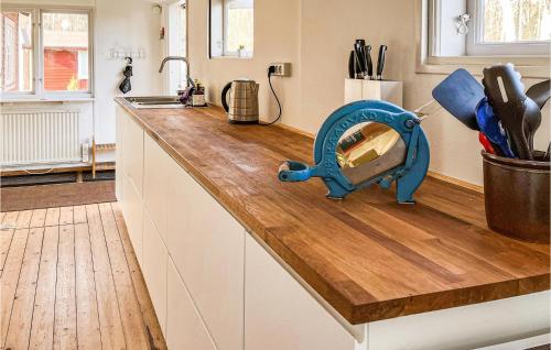 LöderupにあるBeautiful Home In Löderup With Kitchenのキッチンカウンター(青色の電化製品付)