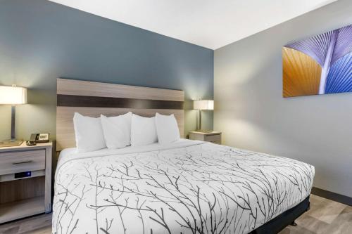 Postel nebo postele na pokoji v ubytování Best Western Blythe