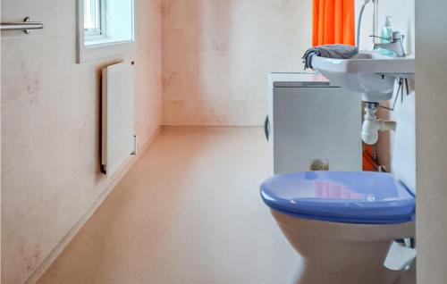 a bathroom with a blue toilet and a sink at Awesome Home In Öje With Lake View in Öje