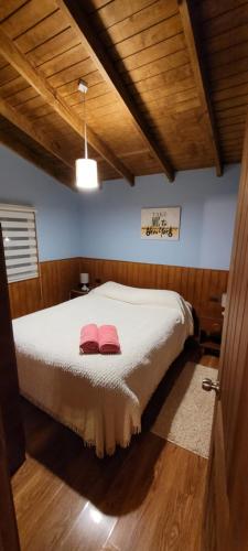 a bedroom with a bed with two pink pillows on it at Cabañas IBY y KIARA para 4 en Puerto Varas in Puerto Varas