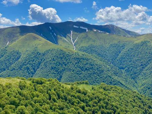 Φυσικό τοπίο κοντά σε αυτό το διαμέρισμα