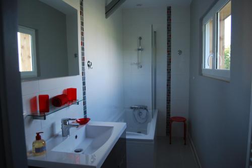 a bathroom with a sink and a shower and a toilet at Le Manège in Créney-près-Troyes