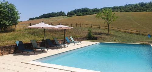 a swimming pool with chairs and umbrellas next to a field at Château Labistoul in Campes