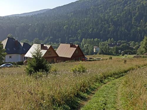 a group of houses on a hill in a field at Domki pod Honem w Cisnej in Cisna