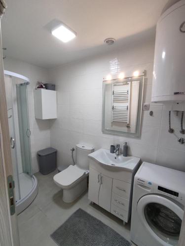a bathroom with a toilet sink and a washing machine at JOKER Apartman in Požarevac