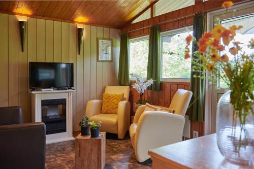 sala de estar con sillas, TV y chimenea en Vallée Les Etoiles, en Blaimont