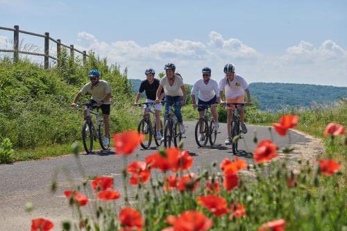 a group of people riding bikes down a road with flowers at Vallée Les Etoiles in Blaimont