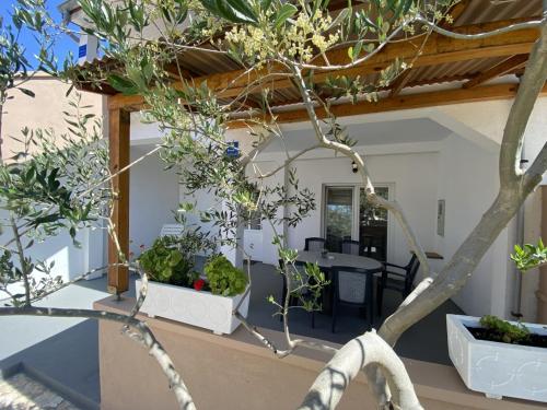 d'une terrasse avec des plantes en pot et une table. dans l'établissement Apartments Zvonimir, à Privlaka