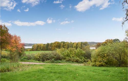 a grassy field with trees in the background at Nice Apartment In Tranås in Tranås