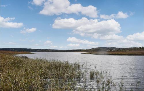 a body of water with grass and clouds in the sky at Nice Apartment In Tranås in Tranås