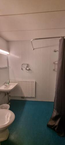 a bathroom with a white toilet and a sink at Hotel Villa Vanessa in Siltakylä