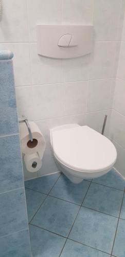 a bathroom with a white toilet and a sink at Wellness & SPA Lipno - Frymburk C410 in Frymburk
