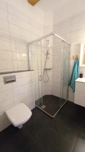 a bathroom with a shower with a toilet and a sink at Tūrisma mītne ZVIEDRI in Līgatne