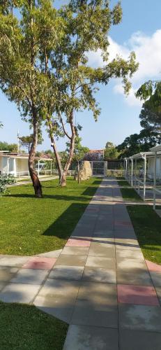 a walkway in a park with trees and grass at Tropical Suite in Diamante