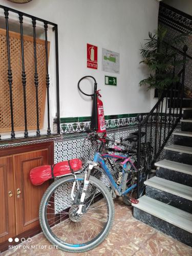 Gallery image of Pensi&oacute;n Los Arcos in C&oacute;rdoba