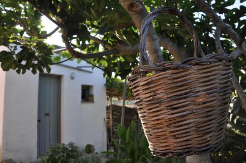 a wicker basket hanging from a tree at Masseria Uccio in Tricase
