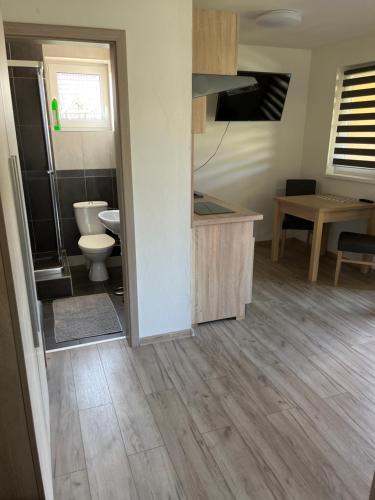 a bathroom with a sink and a toilet in a room at Apartmánový dom Magda in Vrbov