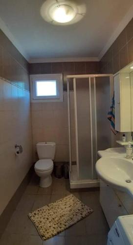 a bathroom with a shower and a toilet and a sink at Aristoteles Apartments in Olympiada