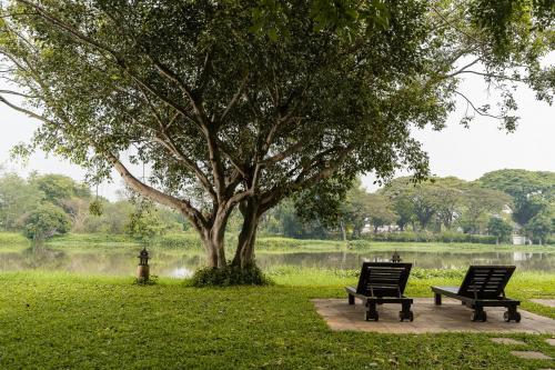 two benches sitting next to a tree in a park at The Legend Chiang Rai Boutique River Resort & Spa in Chiang Rai