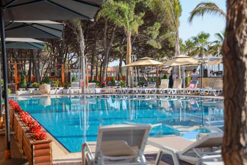 Bazén v ubytování VM Resort & SPA nebo v jeho okolí