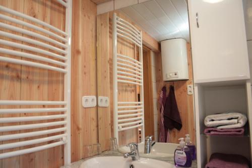 uma casa de banho com paredes de madeira, um lavatório e um espelho. em Ferienhäuser Ohratalsperre em Luisenthal