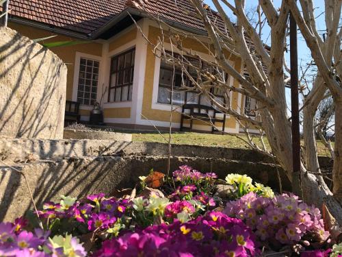 Gallery image of Foidlhaus in Bierbaum am Auersbach