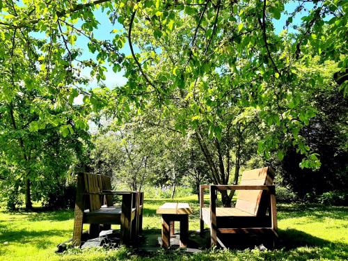 two chairs sitting in the grass under a tree at Champêtre Park View Apartments in Rīga