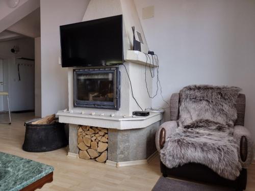 sala de estar con chimenea y TV de pantalla plana en Pearl XL, en Pamporovo
