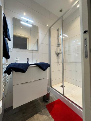 łazienka z przeszkloną kabiną prysznicową i umywalką w obiekcie Studio tout équipé avec chambre indépendante w Aix-les-Bains
