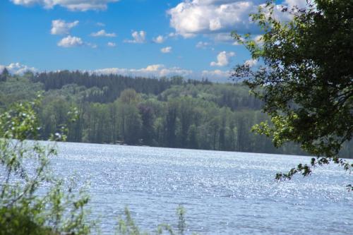 a view of a lake with trees in the background at Junior-Suite Relaxe am See in Ascheberg