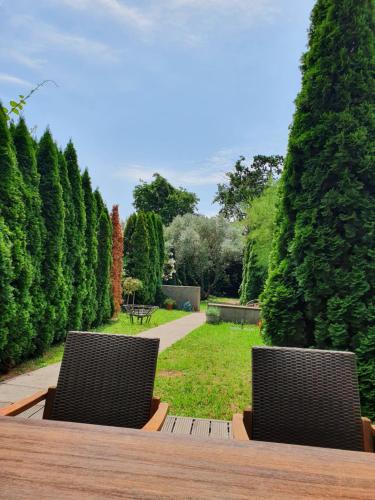 Cypress Garden