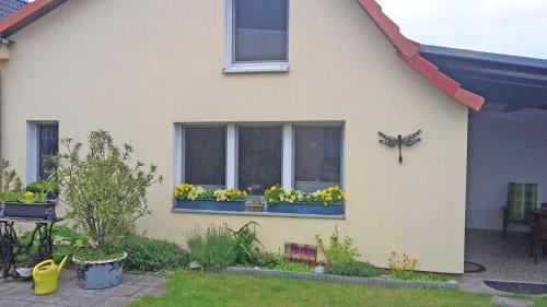Warenshof的住宿－Ferienhaus "Libelle" Objekt ID 12111-6，一座房子,里面装有鲜花