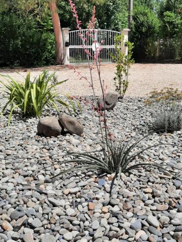 a rock garden with a plant in the middle at Gite 4 personnes avec piscine entre Saintes et Royan in Balanzac